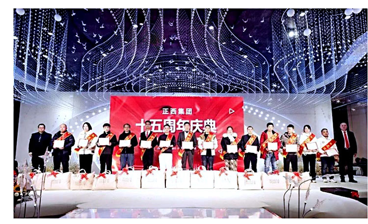 年度進步獎